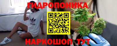 спиды Сланцы