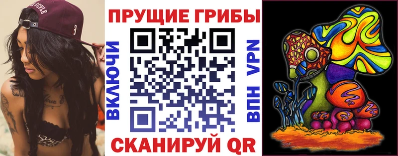 Галлюциногенные грибы прущие грибы  Аксай 